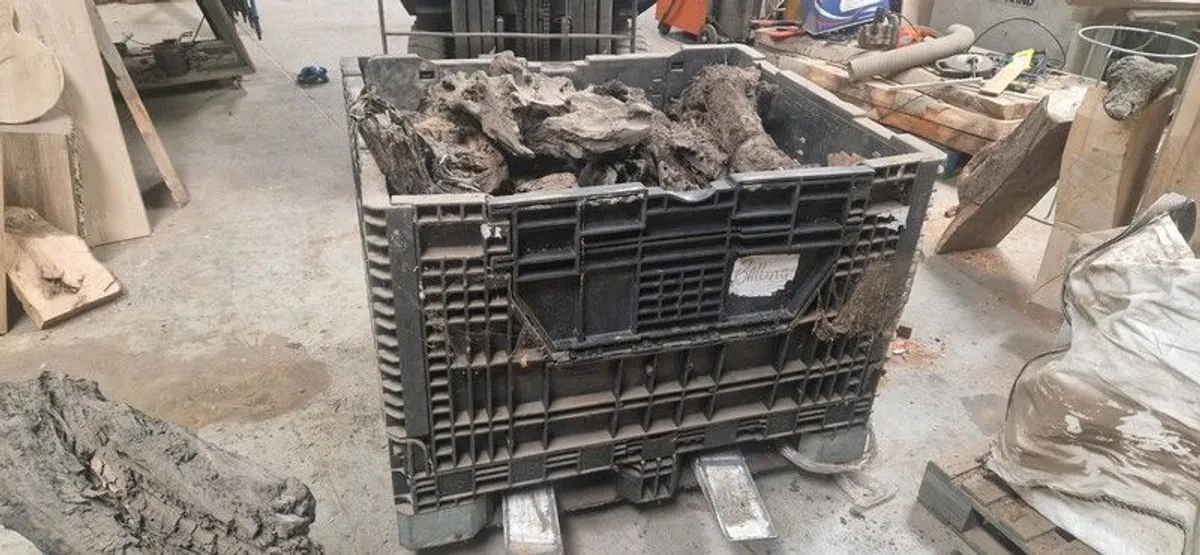 Bog oak - Image 1