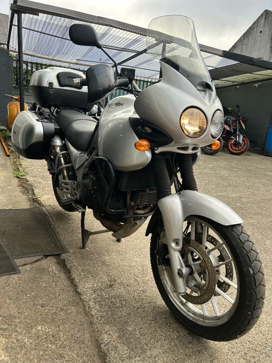 2004 Triumph Tiger 955i - Image 1