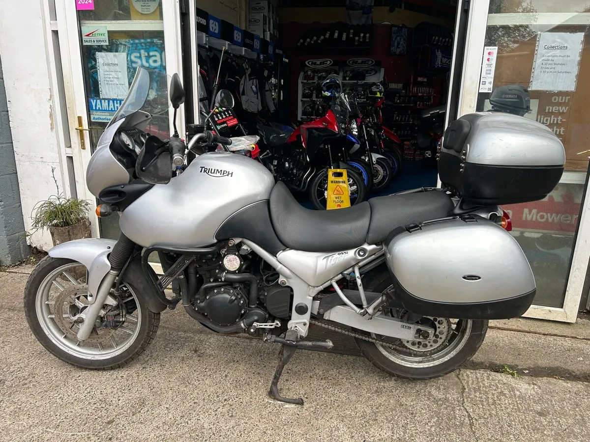 2004 Triumph Tiger 955i - Image 3