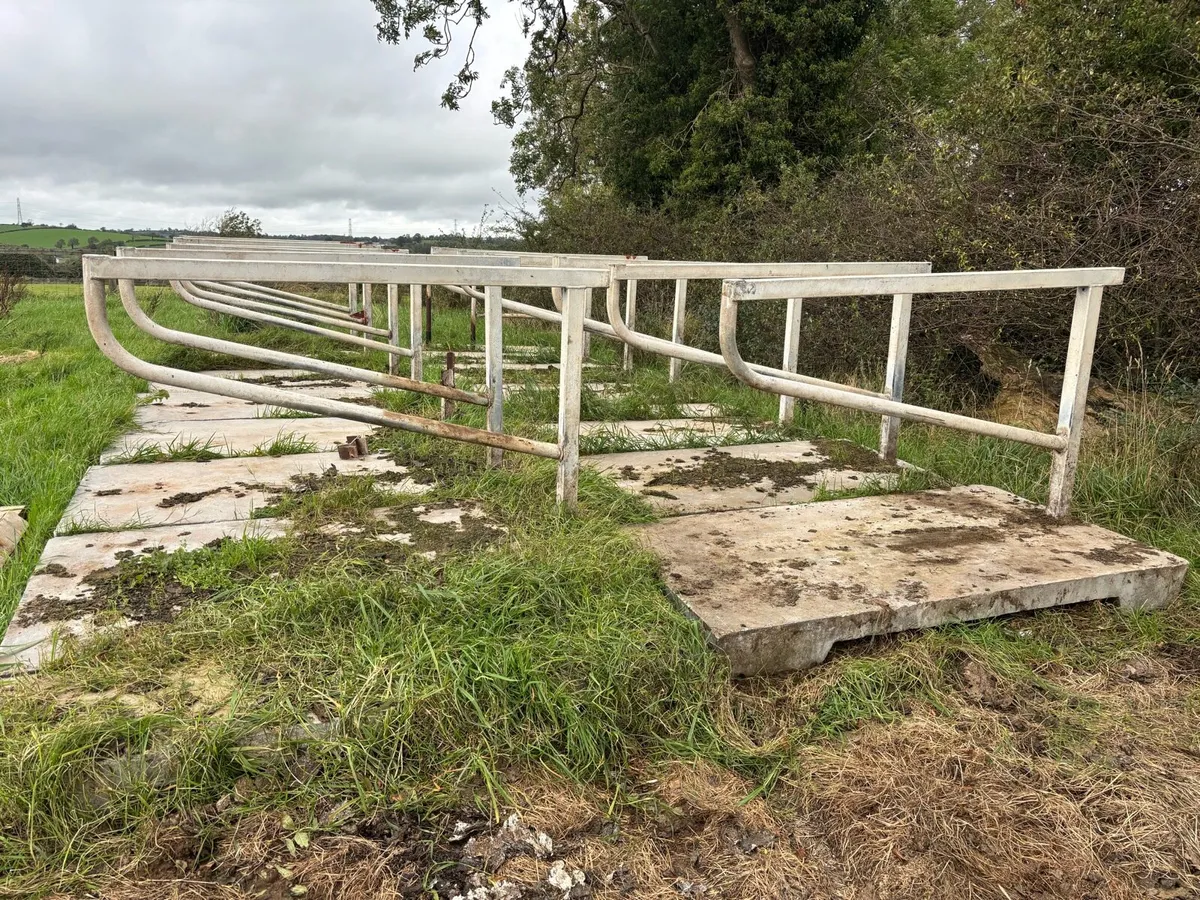 Portable cubicles for cows and heifers - Image 1