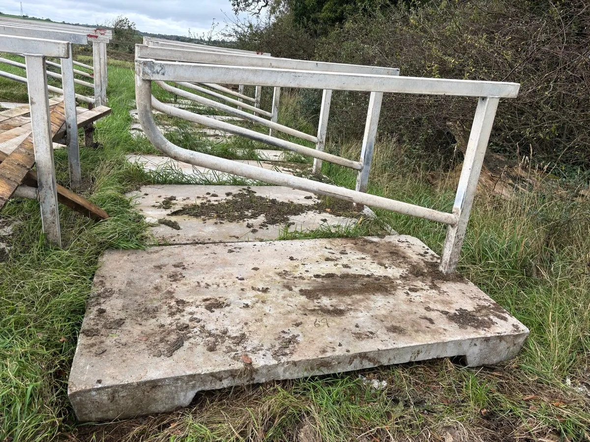 Portable cubicles for cows and heifers - Image 2