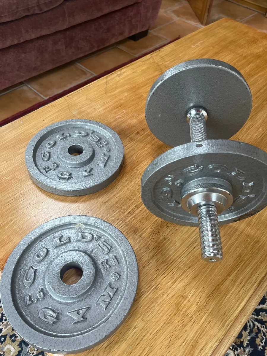 Dumbbell weight - Image 1