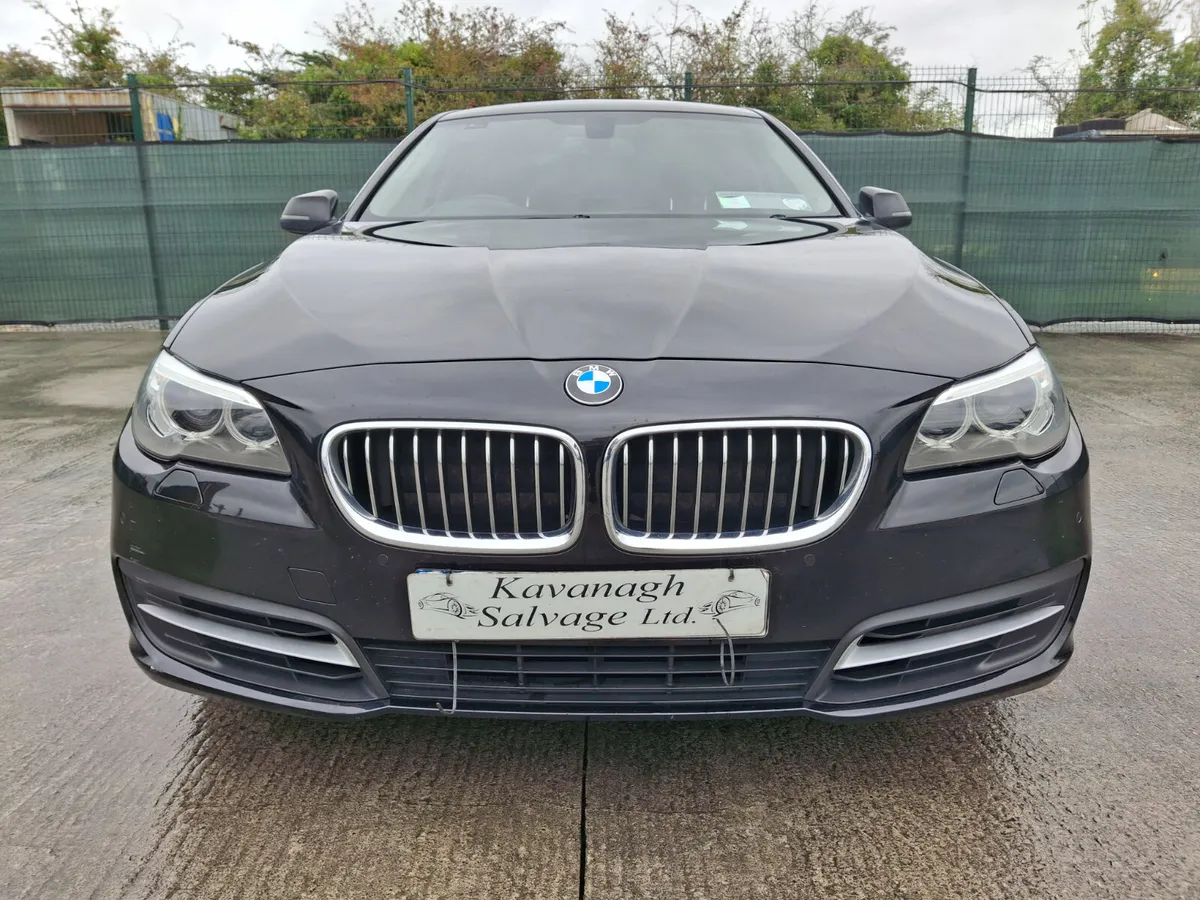 2014 BMW 520D  Automatic Drive Home - Image 4