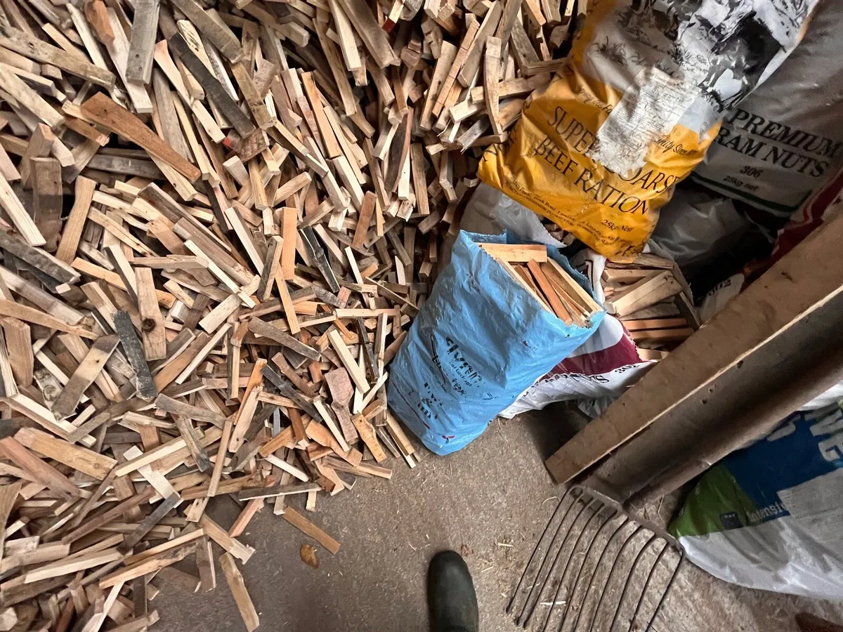 Firewood - Image 2