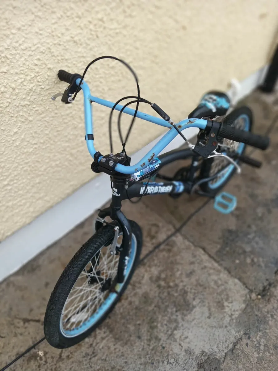 Hybrid Theory Bmx Bike - Image 1