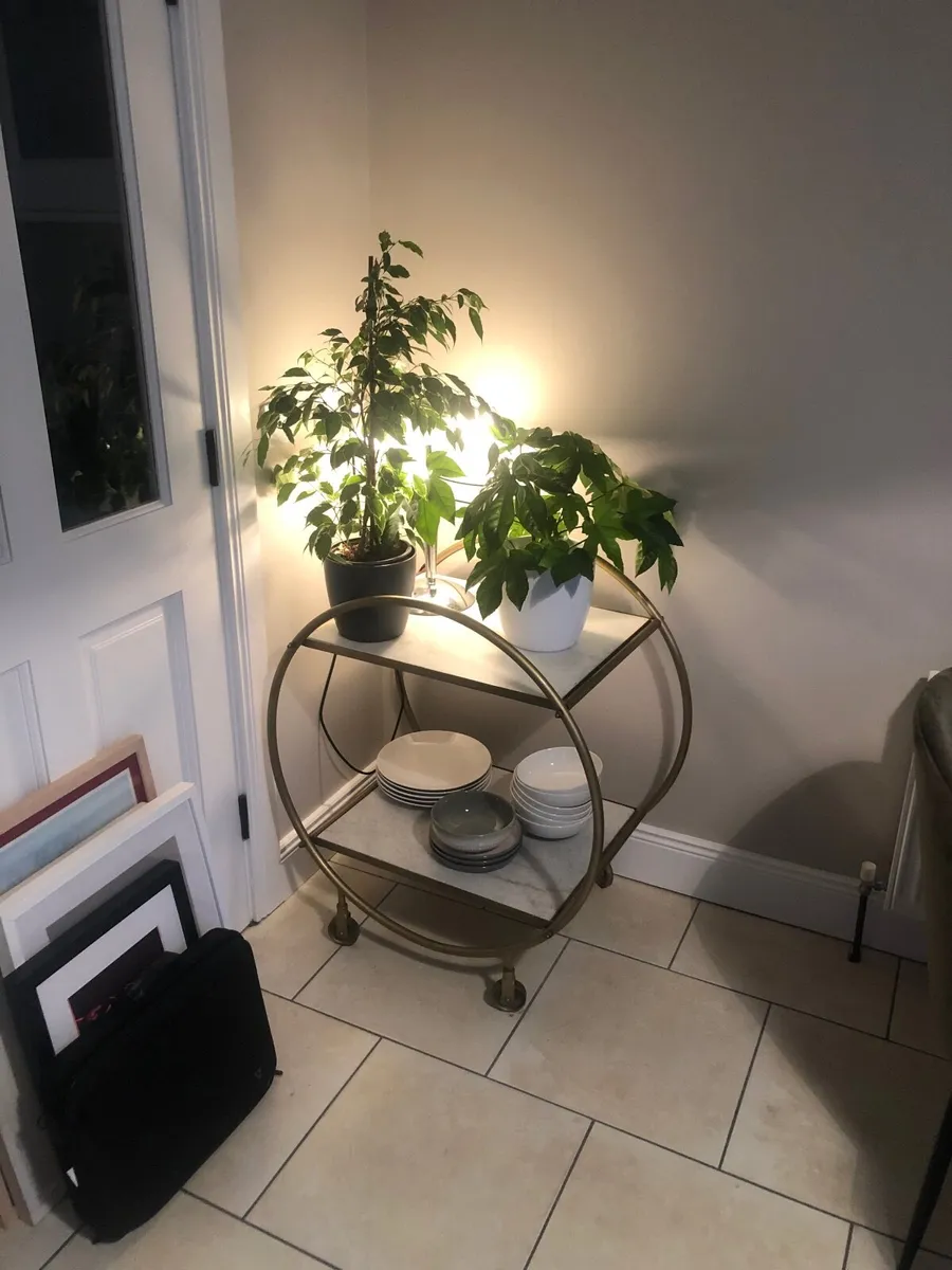 Drinks or Serving  Trolley - Image 1