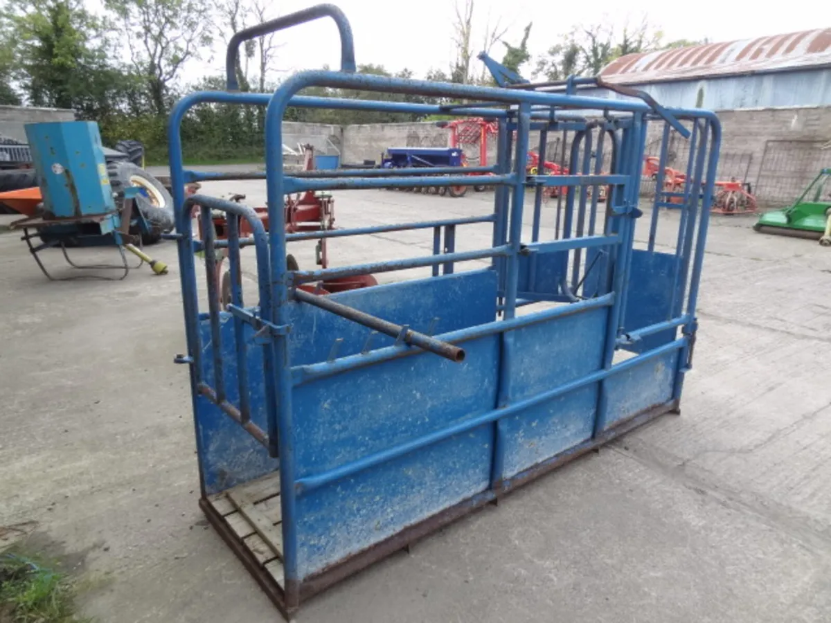 Portable Cattle Crush - Image 3