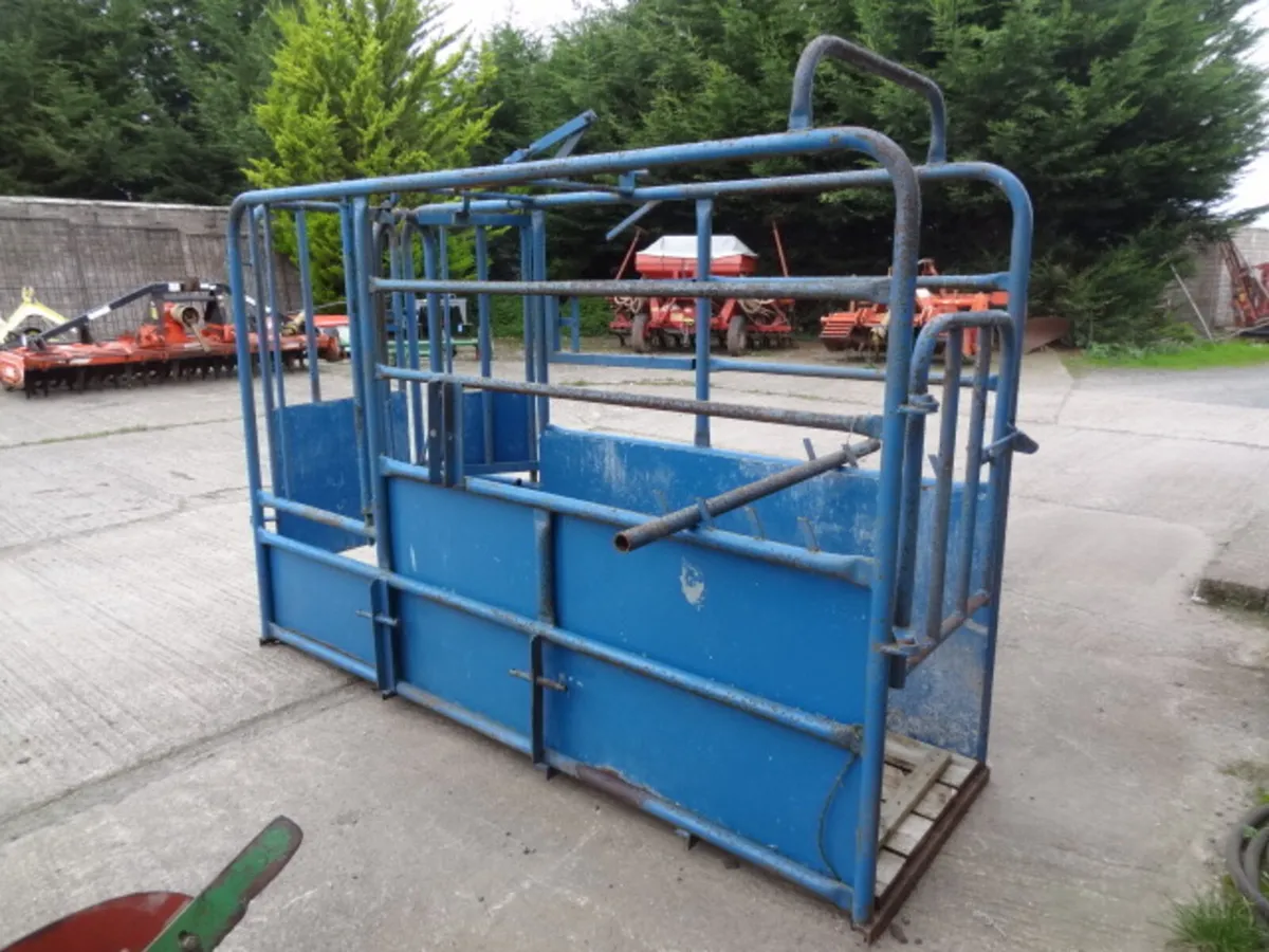 Portable Cattle Crush - Image 4