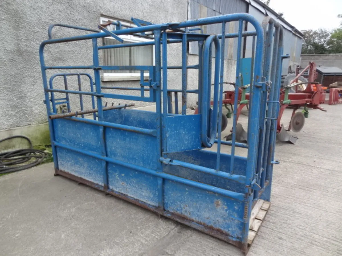 Portable Cattle Crush - Image 1