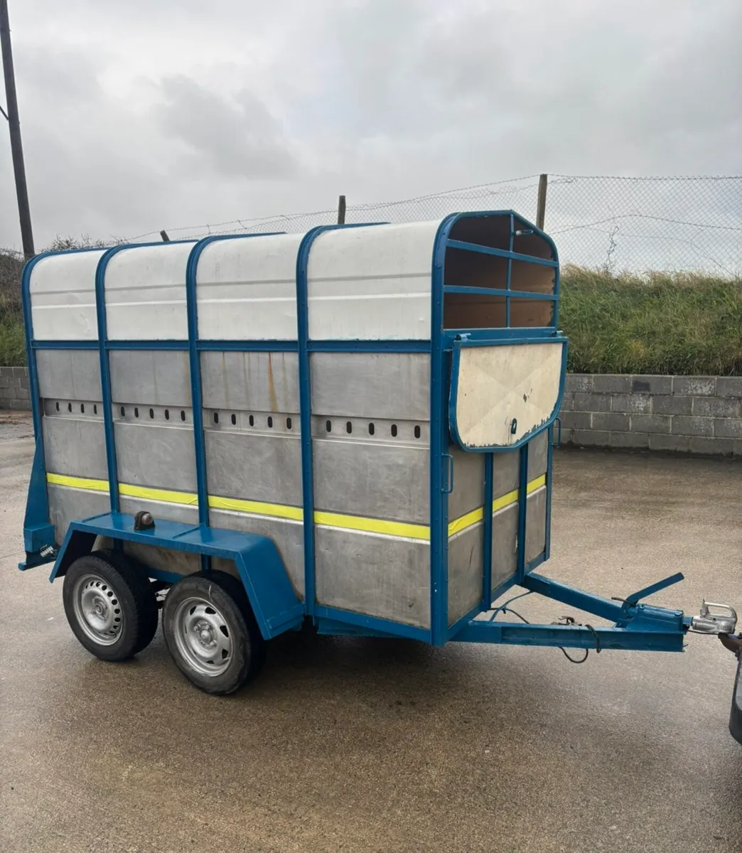 8by5 cattle trailer for sale - Image 2