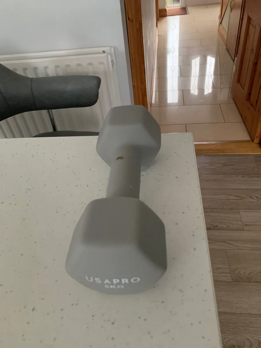 5kg Dumbell and 8kg Kettlebell - Image 1