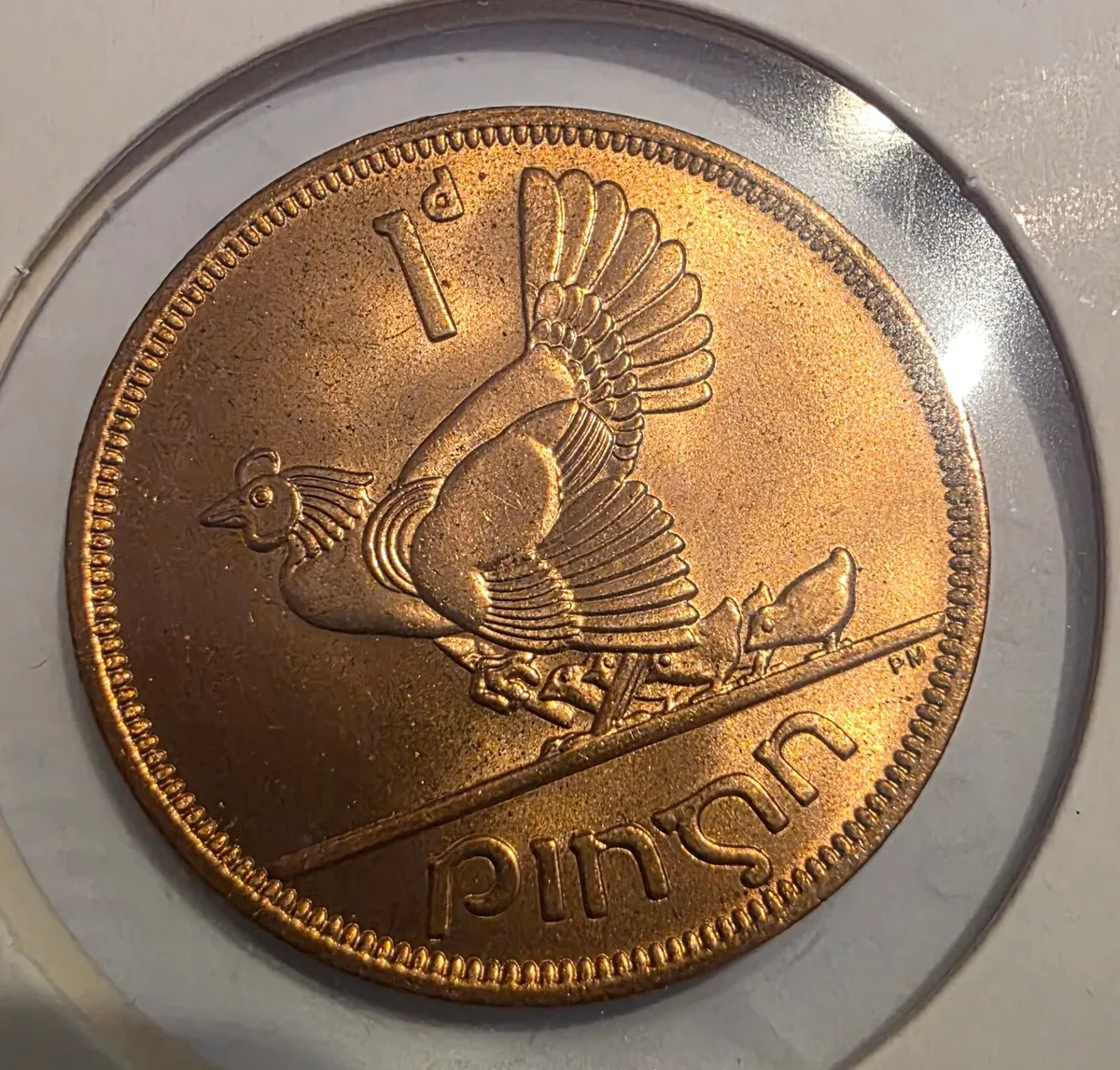 Irish penny's coins - Image 3