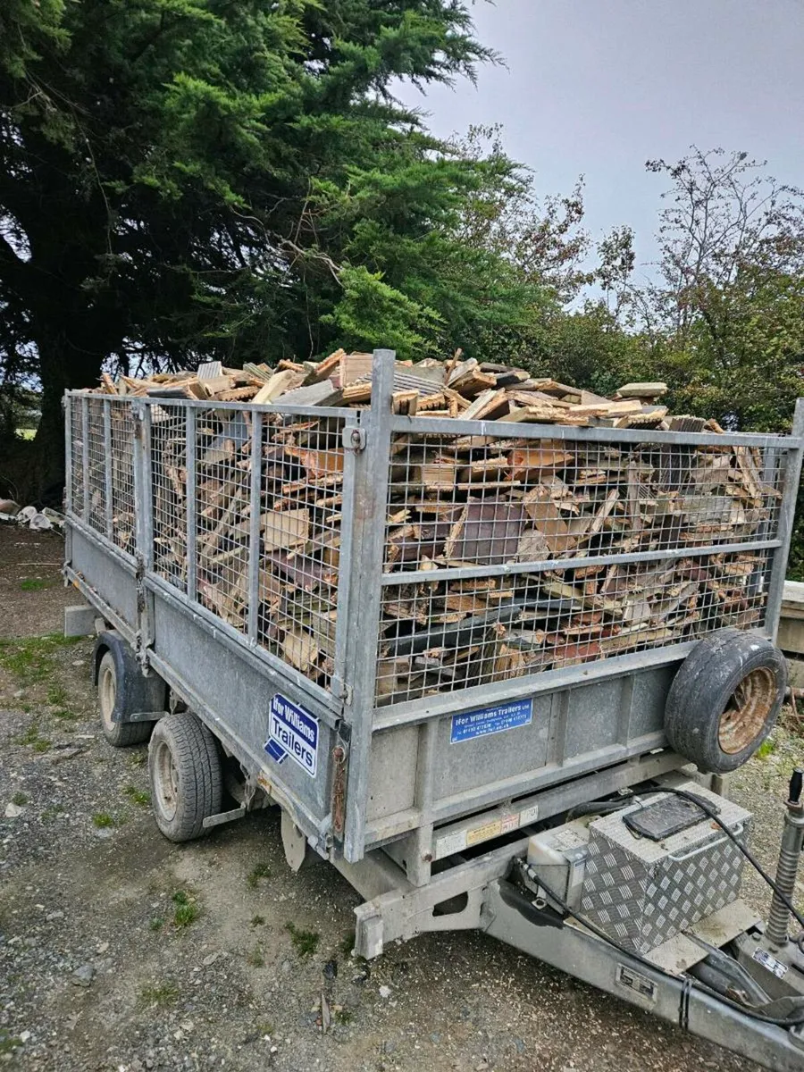 Firewood - Image 2