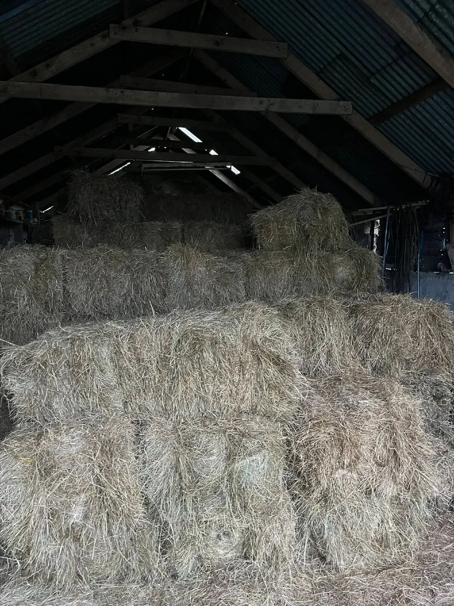 Hay bales for sale