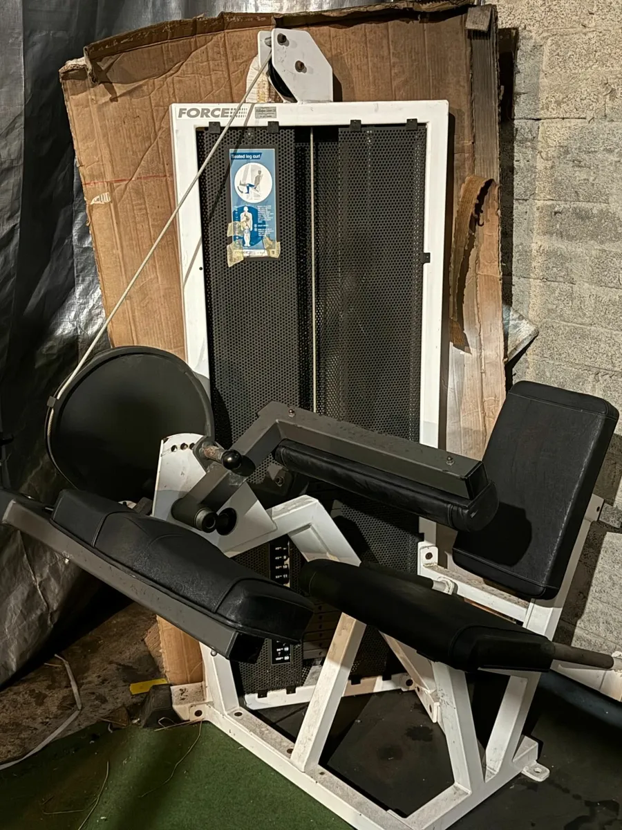 FORCE Leg Curl / Leg Extension Machine Commercial - Image 1