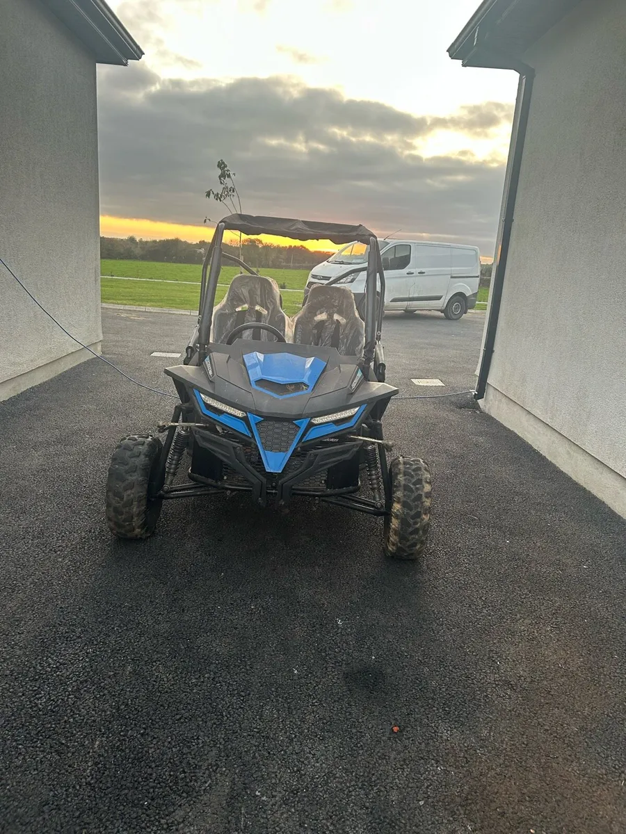Quadzilla stingray buggy - Image 1