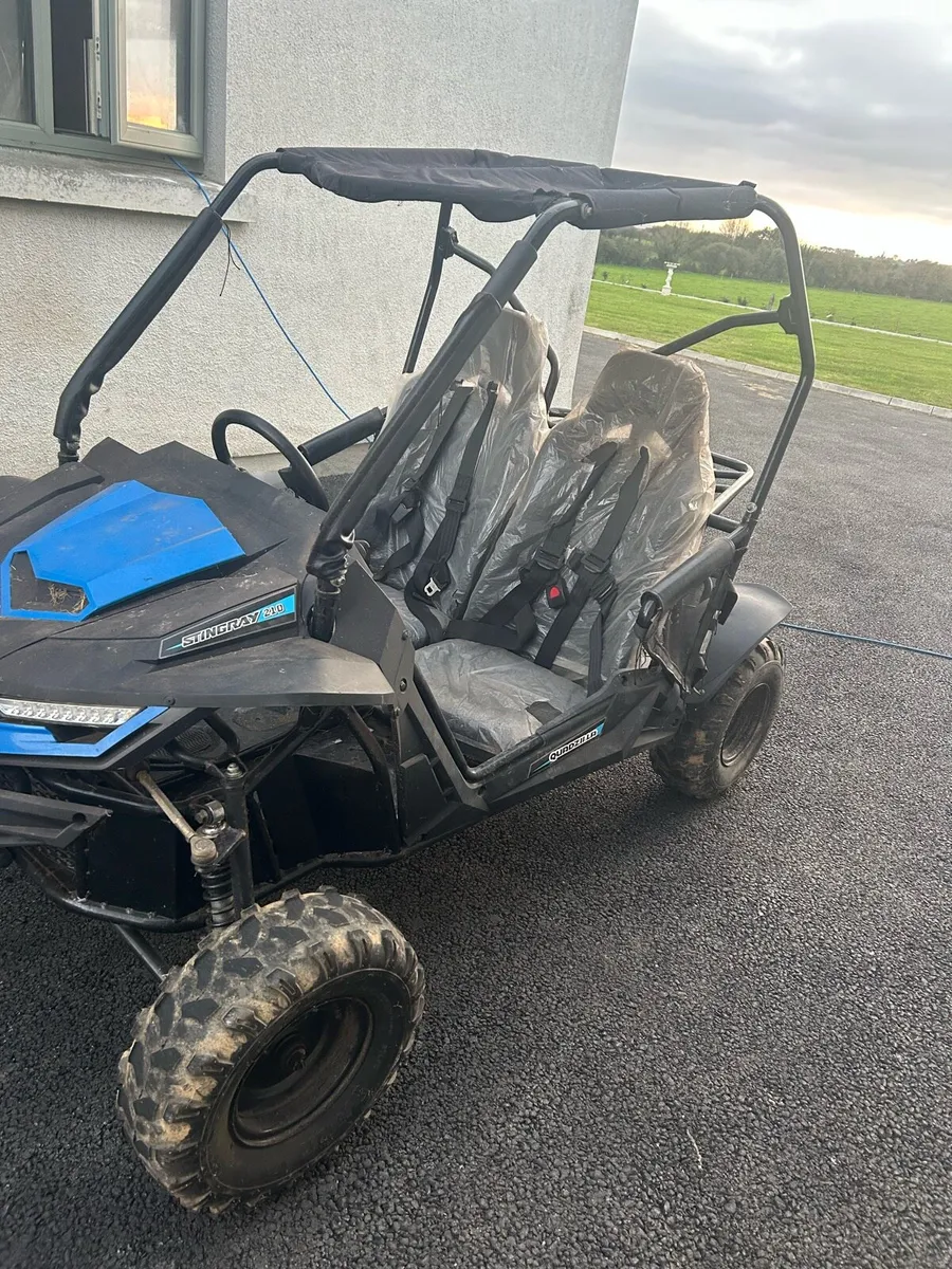 Quadzilla stingray buggy - Image 2