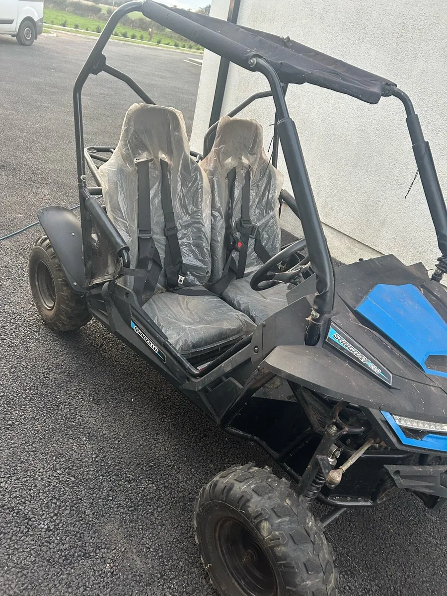 Quadzilla stingray buggy - Image 3