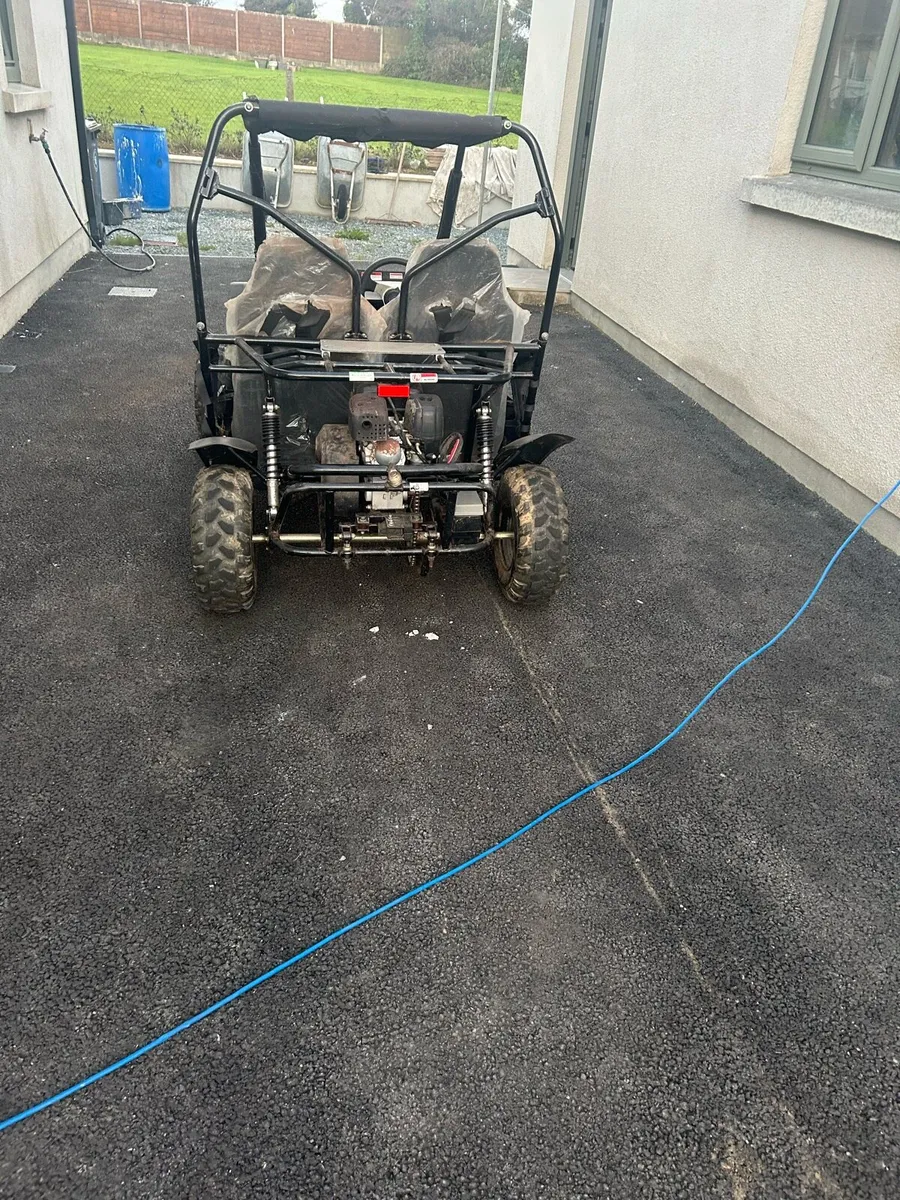 Quadzilla stingray buggy - Image 4