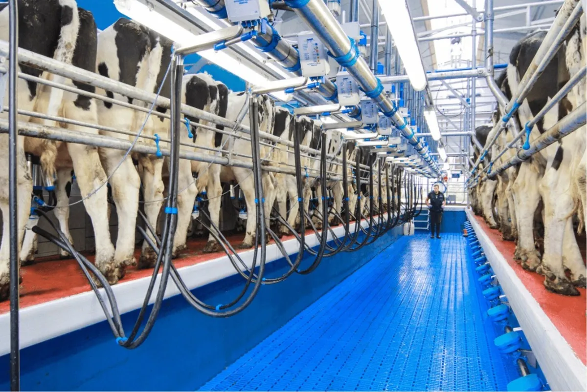 Relief milker available