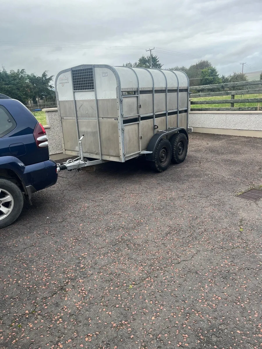 NUGENT cattle  trailer - Image 2