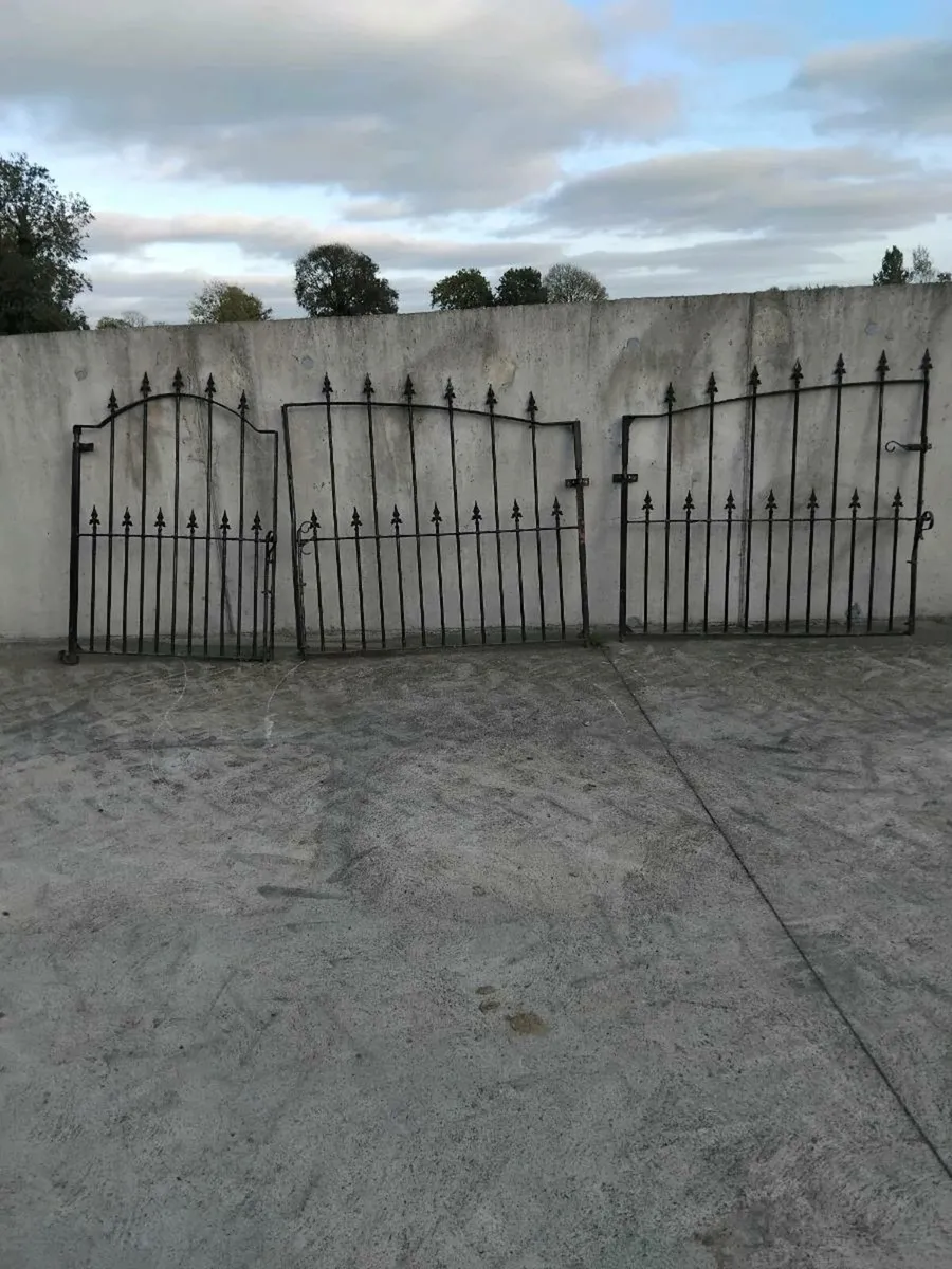 10ft matching entrance gates and 3ft side gate - Image 1