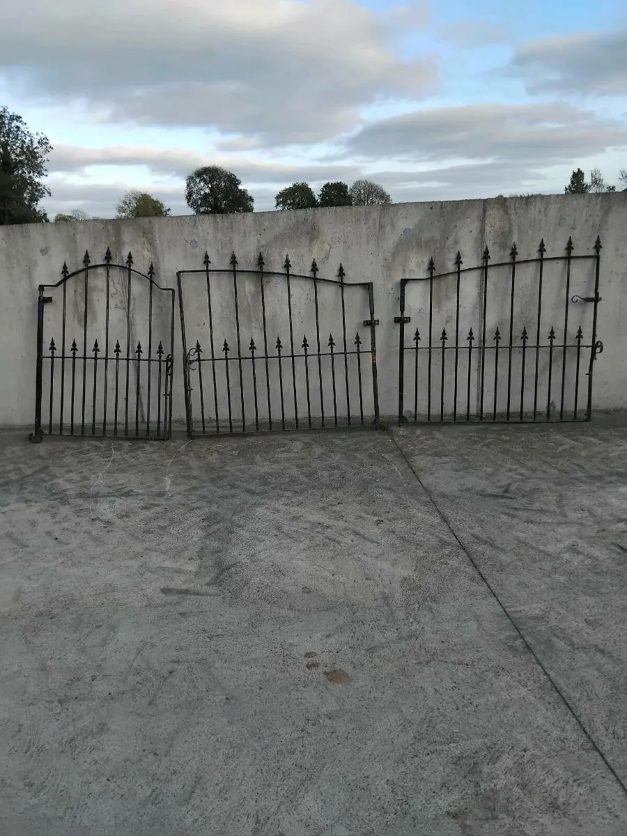 10ft matching entrance gates and 3ft side gate - Image 2