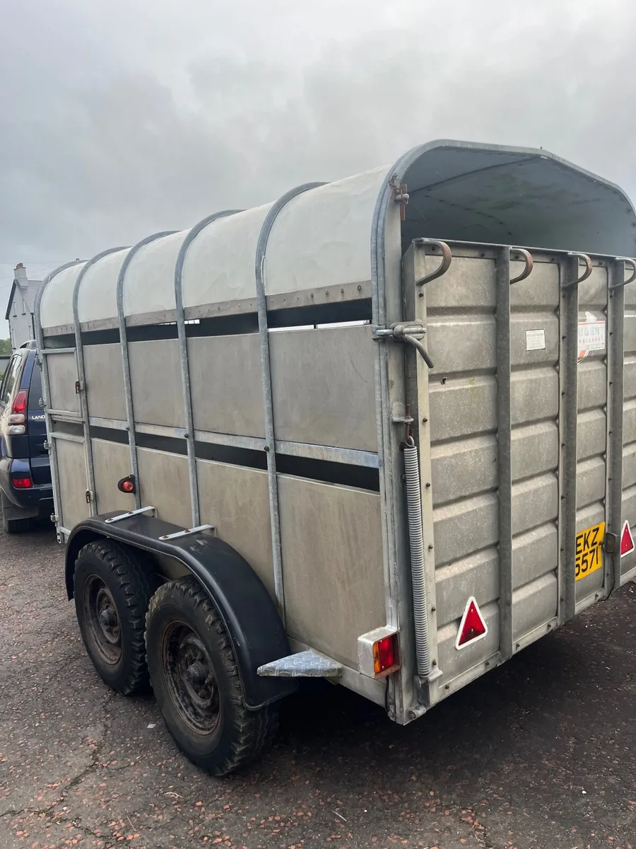 NUGENT cattle  trailer - Image 3