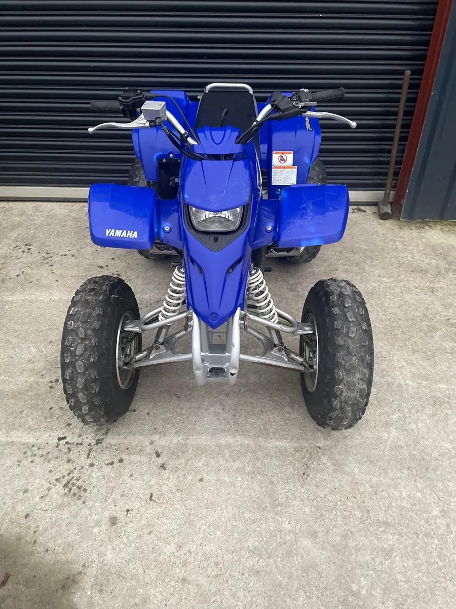 Yamaha Blaster 200 - Image 1