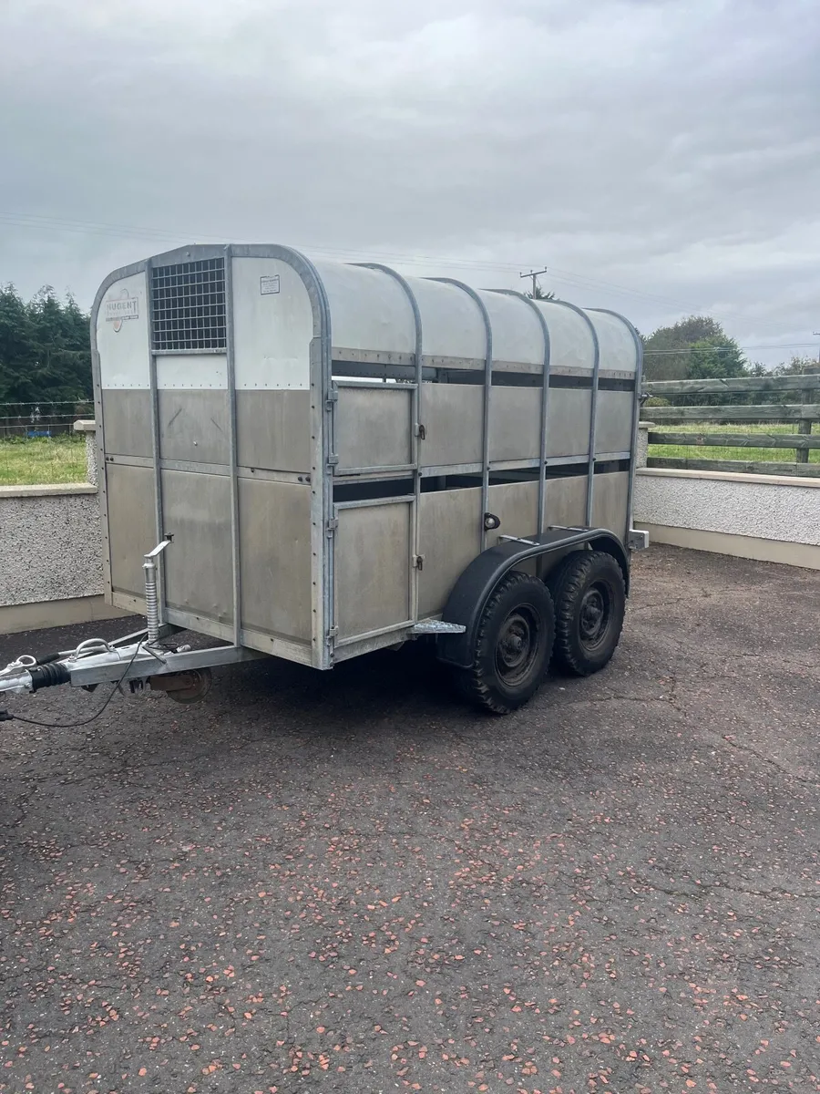 NUGENT cattle  trailer - Image 1