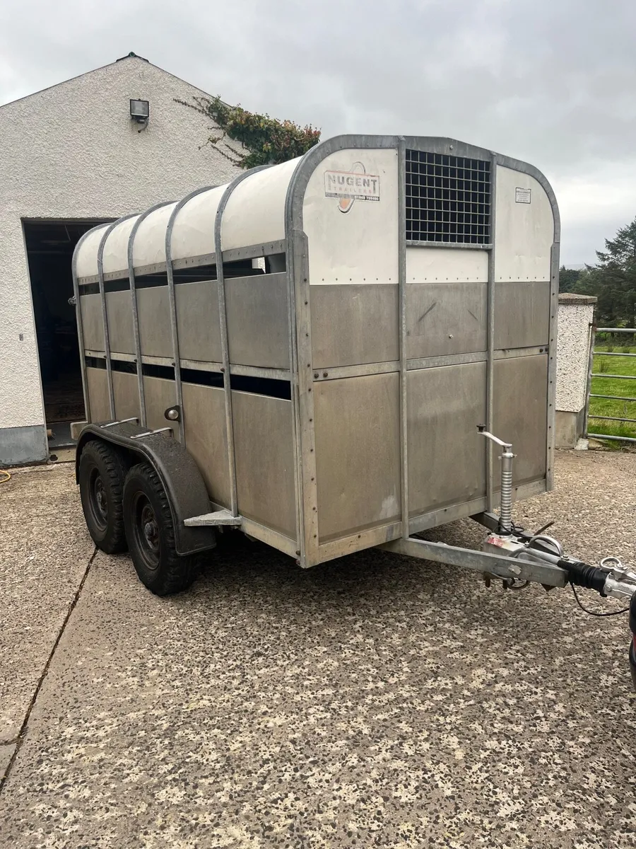 NUGENT cattle  trailer - Image 4