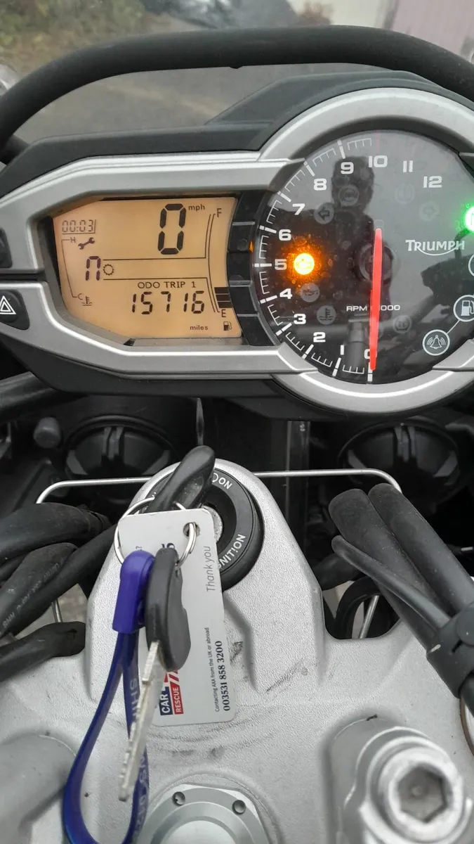 Triumph Tiger 2013 - Image 3