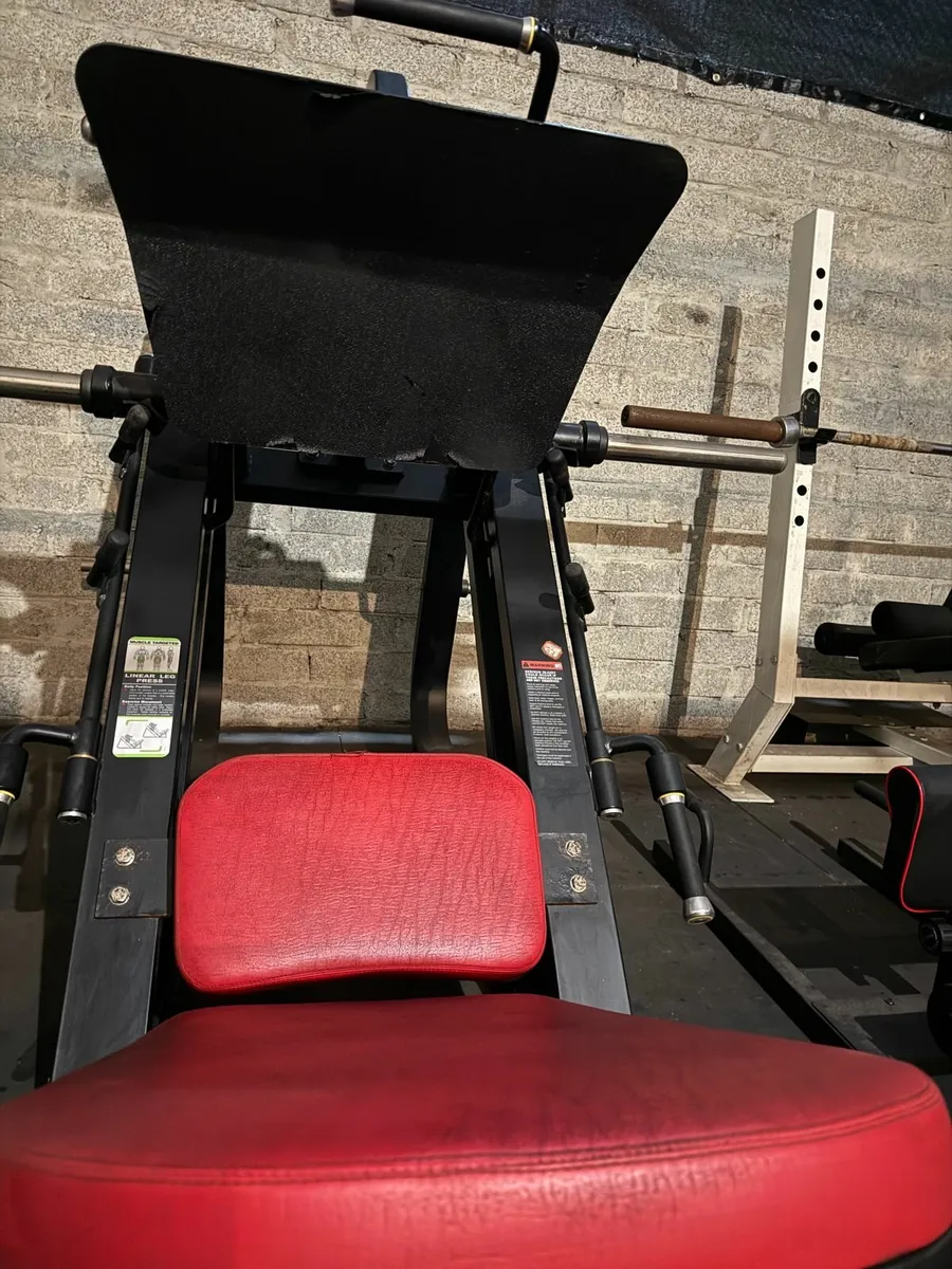 Apollo Fitness Linear Leg Press (Commercial Grade) - Image 3