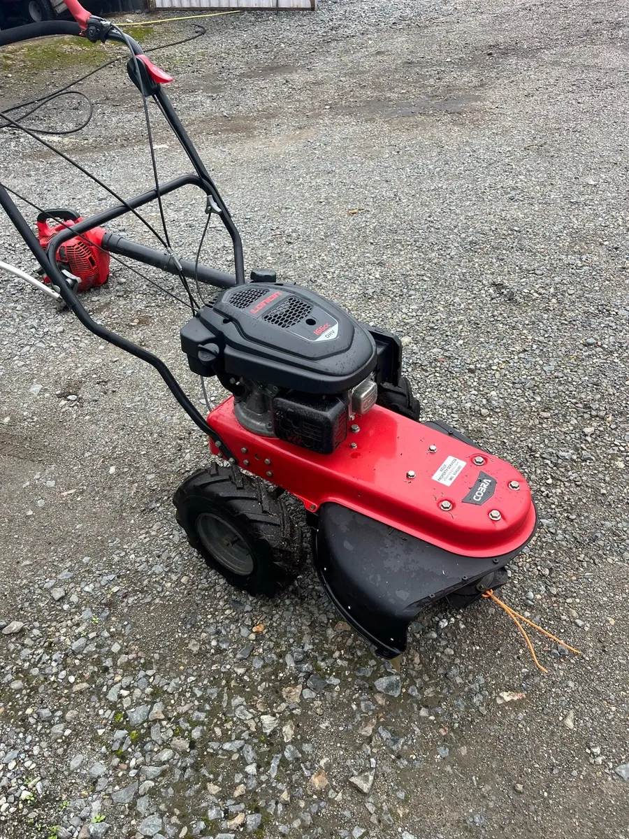 SELF PROPELLED STRIMMER - Image 1