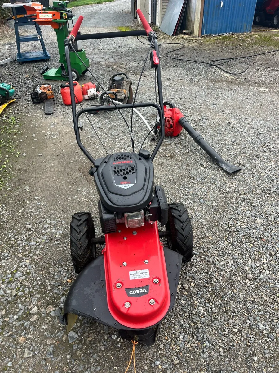 SELF PROPELLED STRIMMER - Image 2