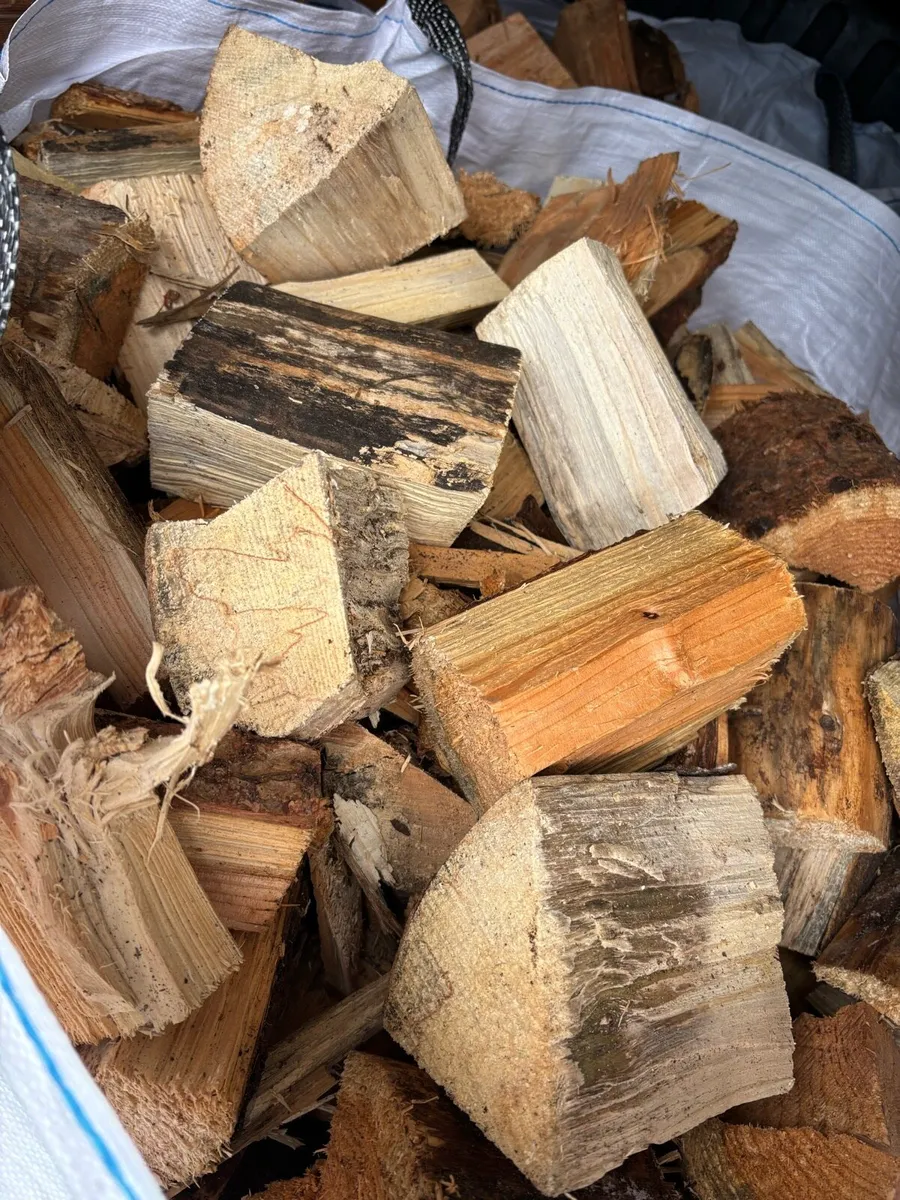 FIREWOOD - Image 1