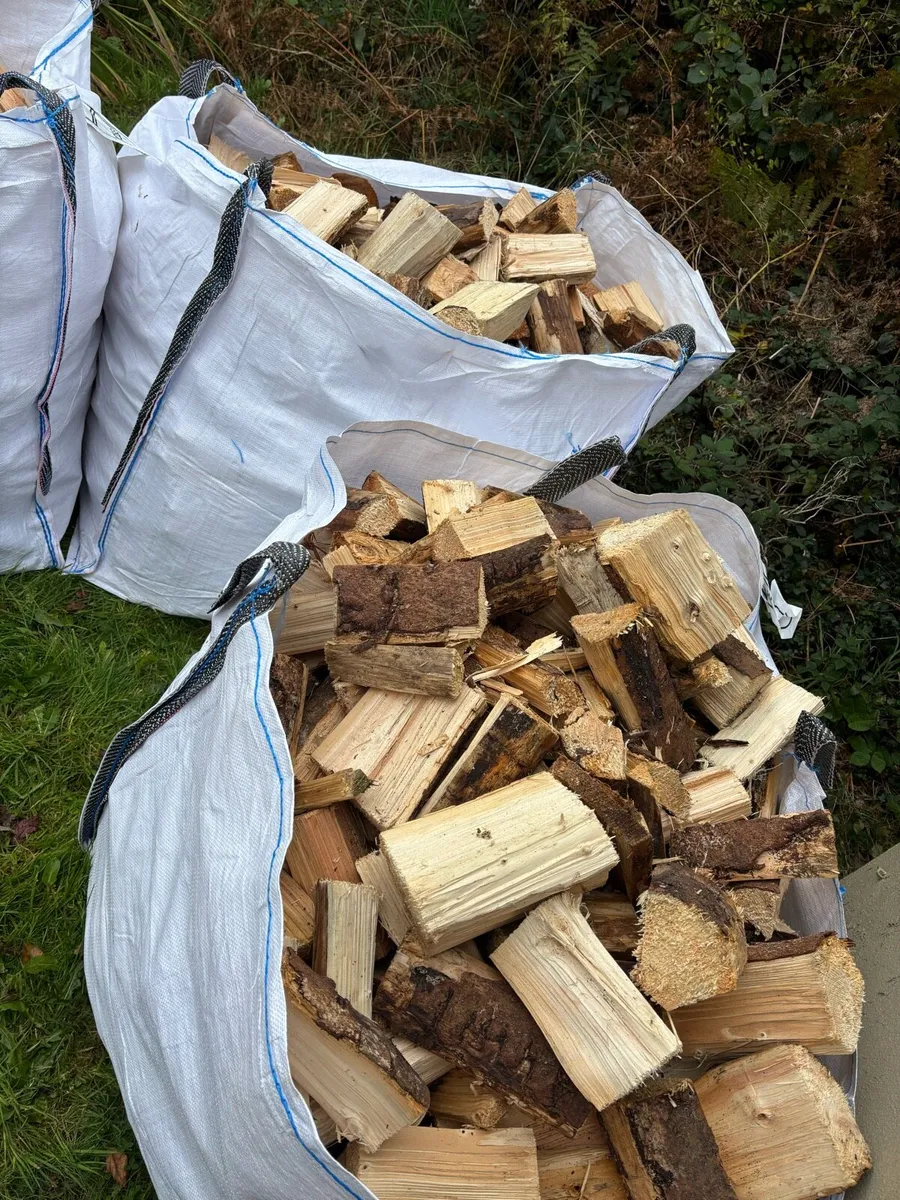 FIREWOOD - Image 2