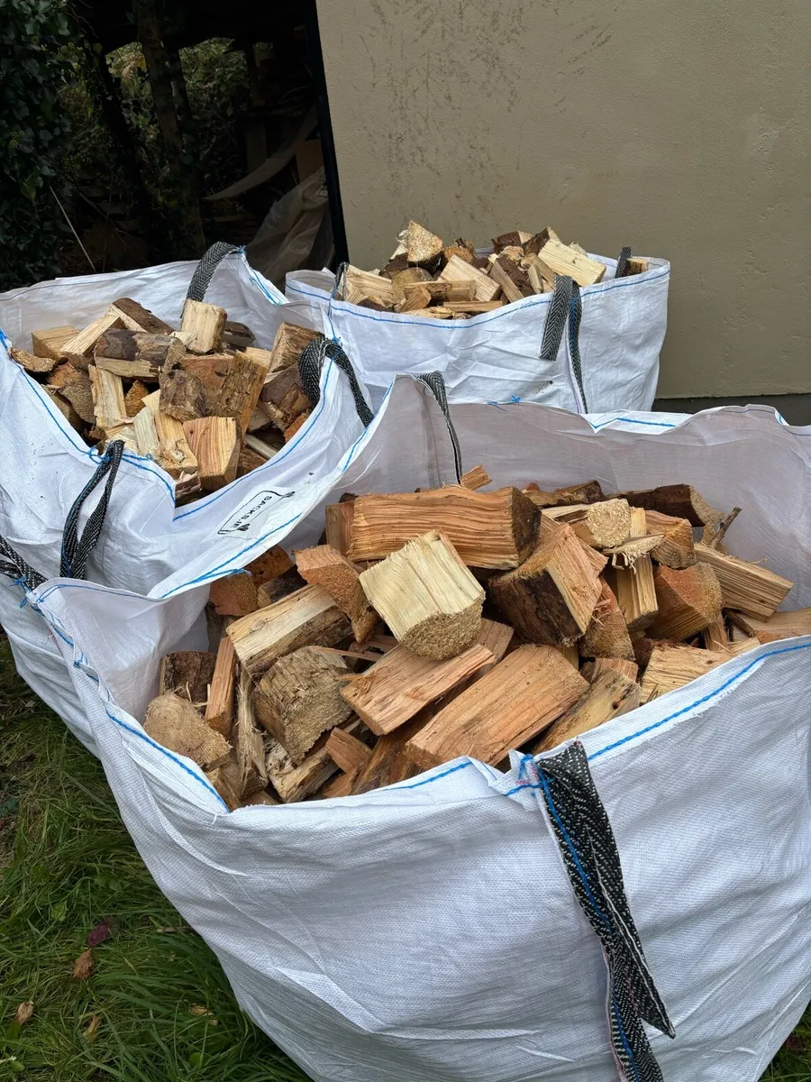 FIREWOOD - Image 3