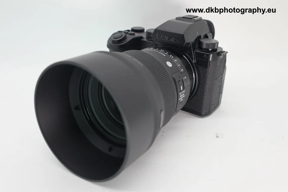 PANASONIC LUMIX S5 II X & SIGMA 85mm F1.4 DG DN AR - Image 3