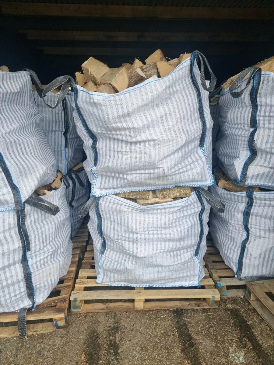 Irish Ash firewood 18% moisture - Image 1