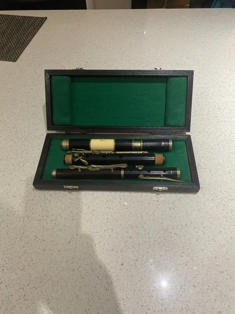 Flute Case - Image 1