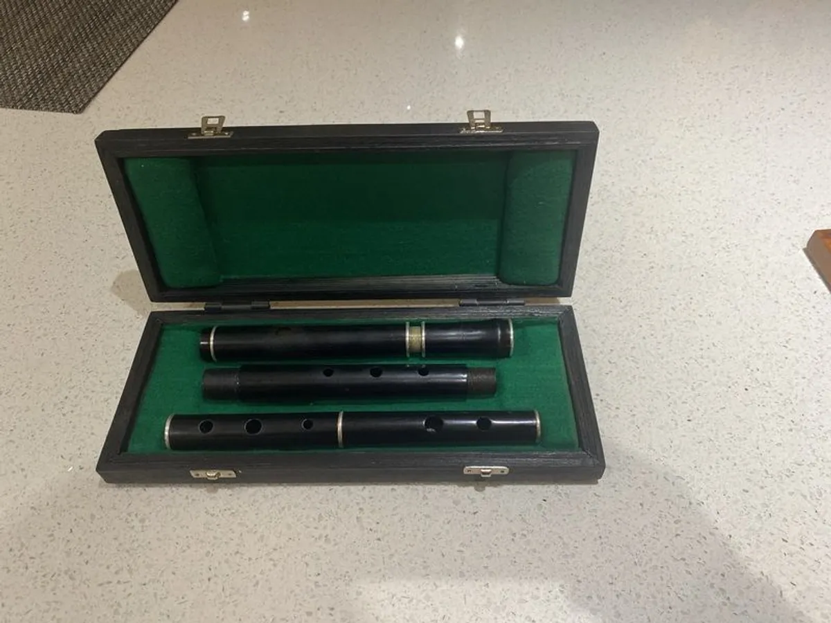 Flute Case - Image 4