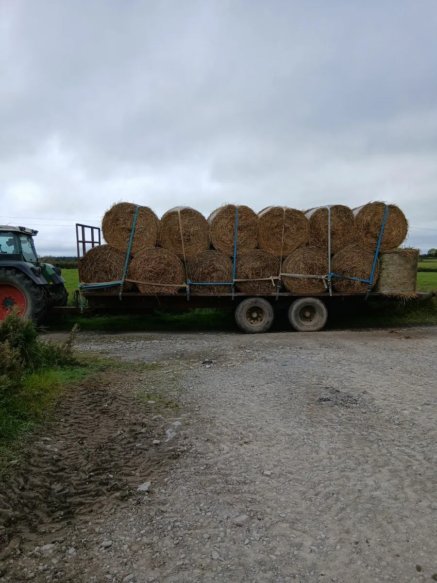 Bale trailer - Image 2