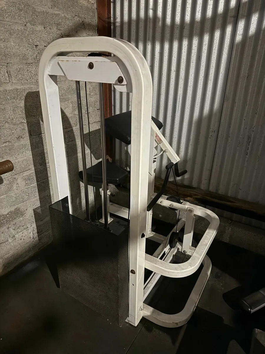 Pacific Fitness Preacher Curl Machine (Commercial) - Image 1