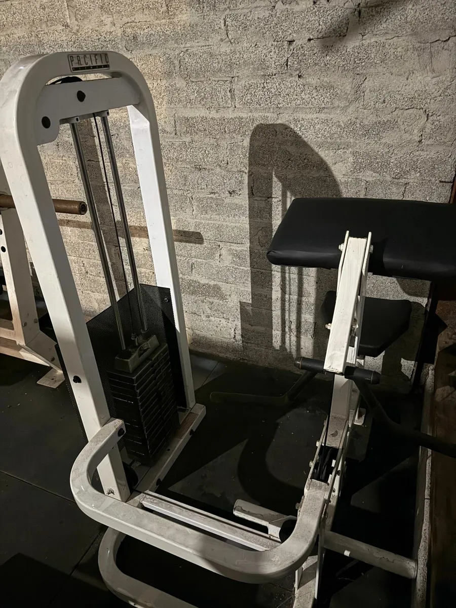 Pacific Fitness Preacher Curl Machine (Commercial) - Image 2