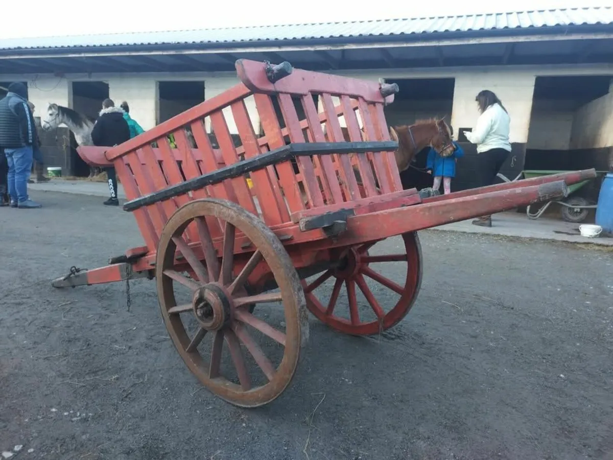 Donkey / pony Cart in complete & working condition - Image 4