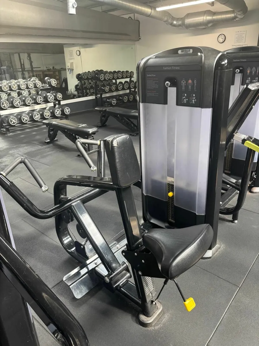 Pin-Loaded Strength Machines - Image 3
