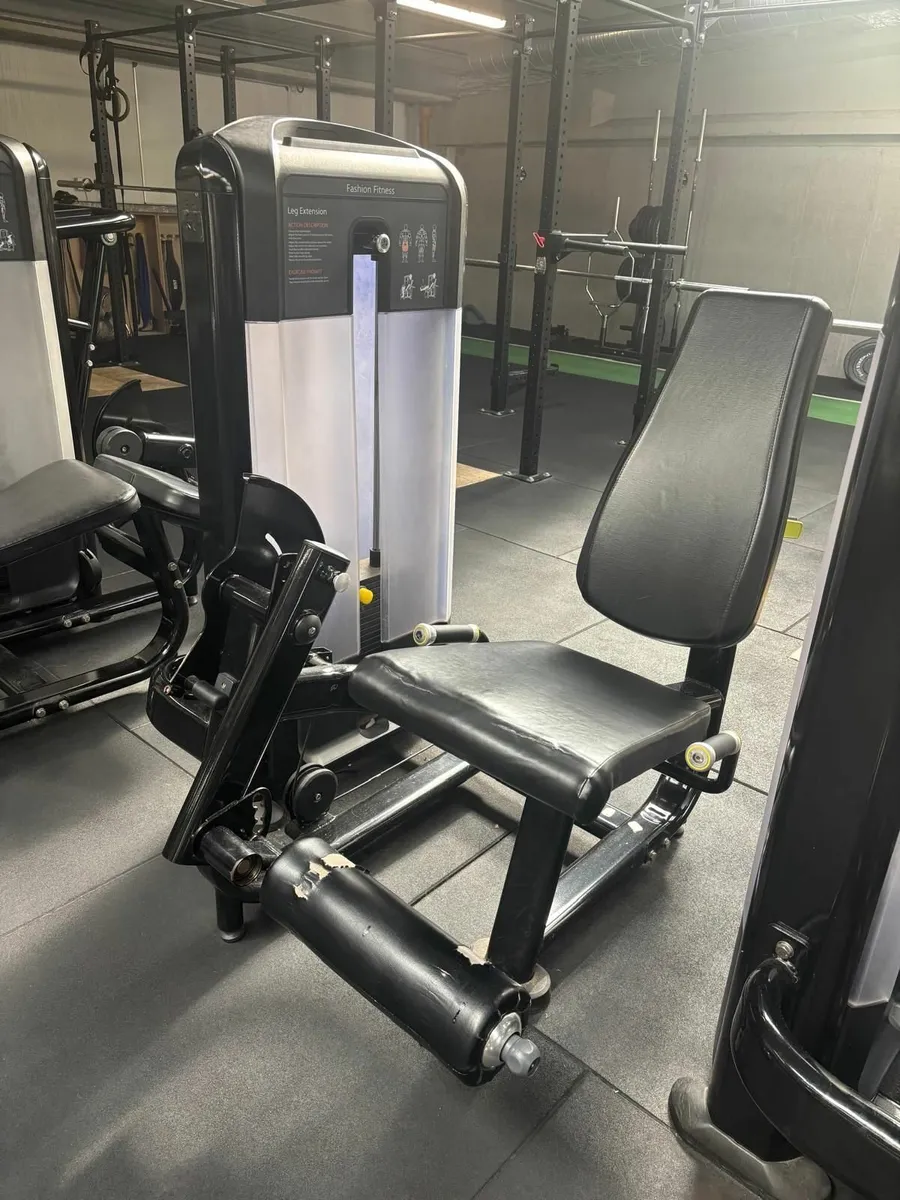 Pin-Loaded Strength Machines - Image 4