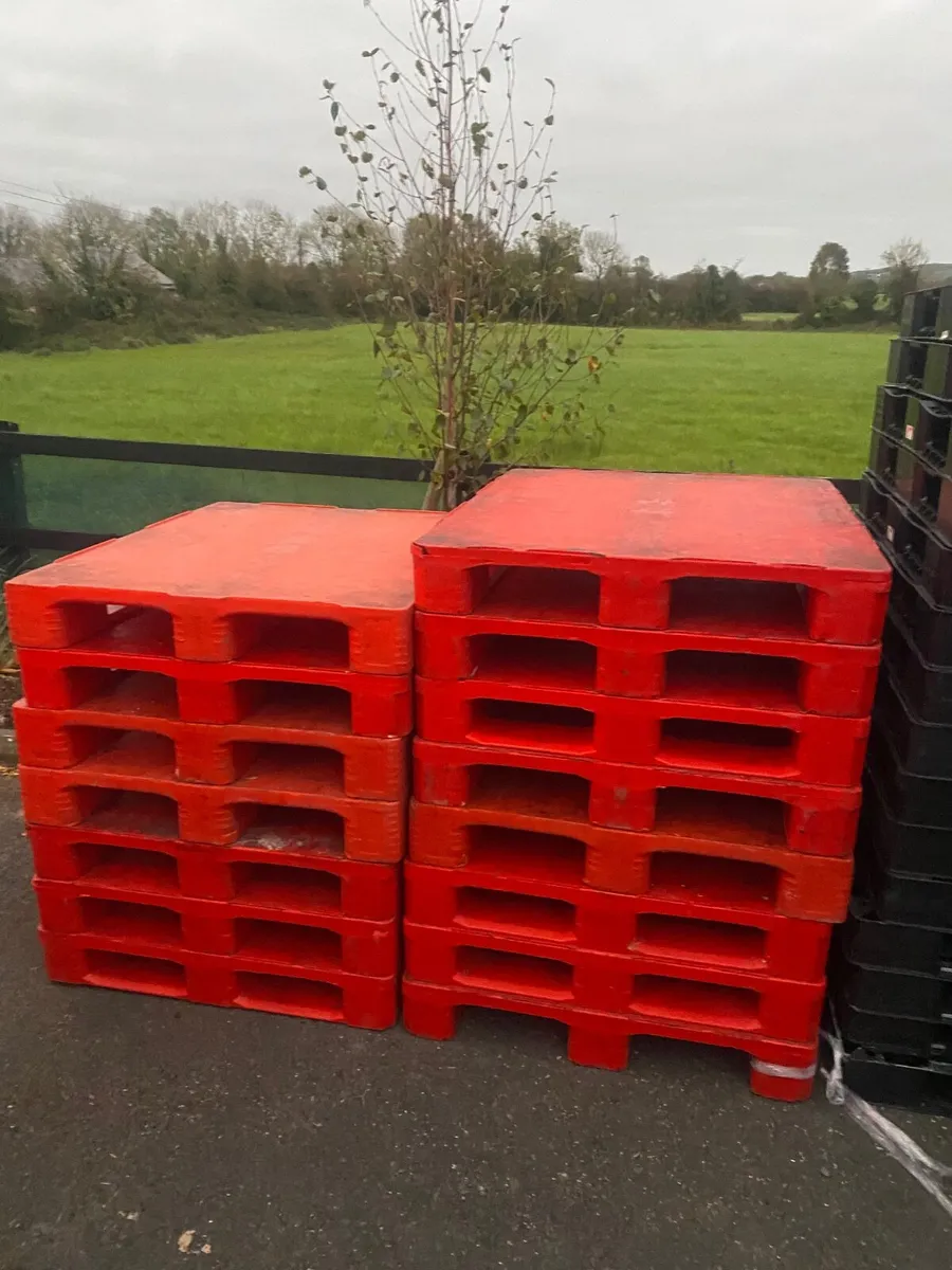 Heavy duty solid base  pallets - Image 1