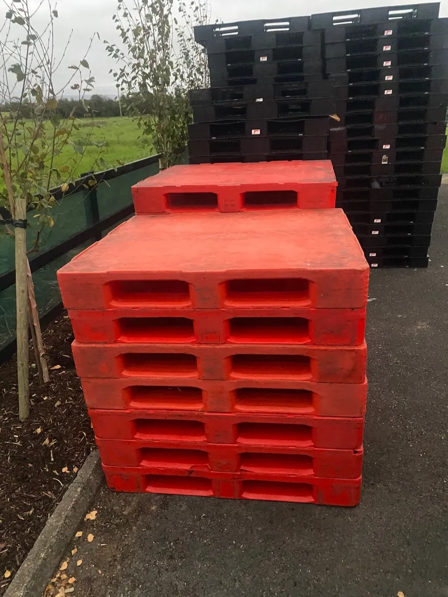 Heavy duty solid base  pallets - Image 2